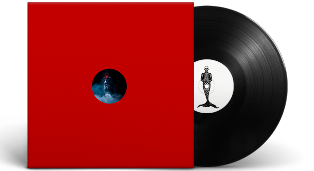 vinyl record